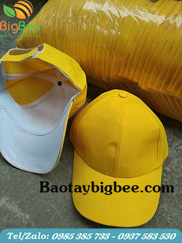 Muc lưỡi trai màu vàng Muc lưỡi trai màu vàng