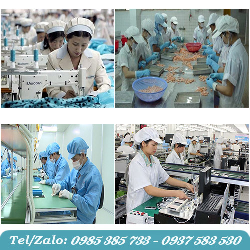 Ứng dụng của nón/ mũ xếp ly giành cho công nhân Ứng dụng của nón/ mũ xếp ly giành cho công nhân