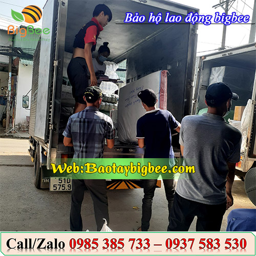 Nhân viên soạn đơn hàng găng tay bảo hộ Nhân viên soạn đơn hàng găng tay bảo hộ