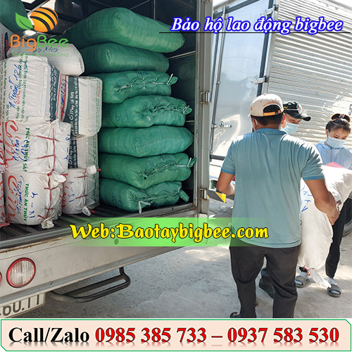 Nhân viên soạn đơn hàng găng tay bảo hộ Nhân viên soạn đơn hàng găng tay bảo hộ