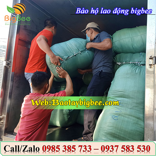 Nhân viên soạn đơn hàng đi giao tại Nha Trang Nhân viên soạn đơn hàng đi giao tại Nha Trang