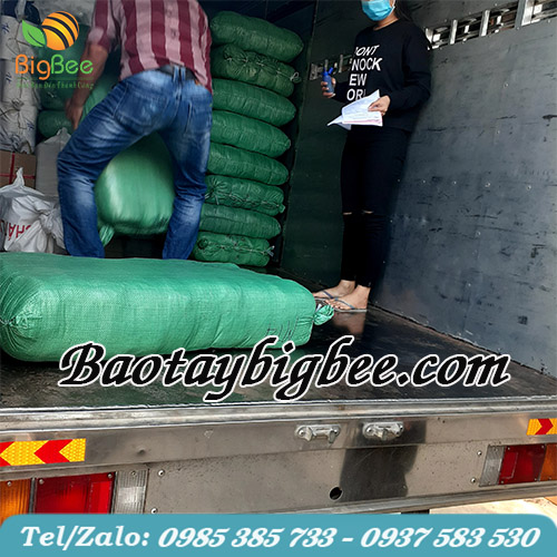 Bigbee giao hàng nhanh chóng chính xác Bigbee giao hàng nhanh chóng chính xác