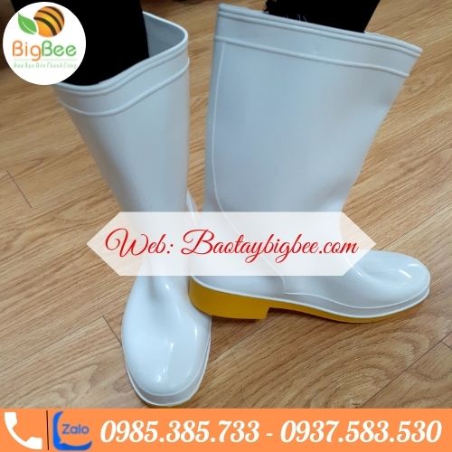 >>Cơ sở cung cấp ủng cao su giá rẻ uy tín tại Sài Gòn. >>Cơ sở cung cấp ủng cao su giá rẻ uy tín tại Sài Gòn.