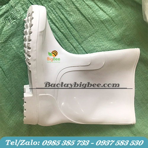 Ủng cao su thấp cổ Ủng cao su thấp cổ