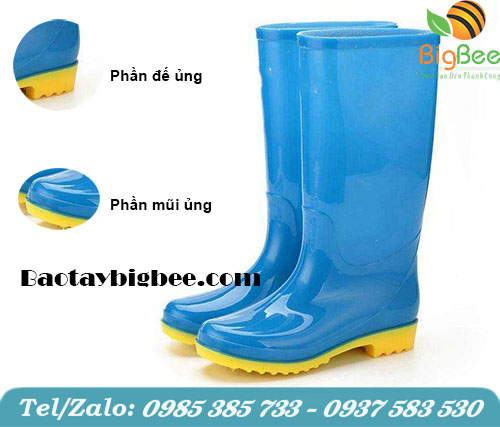 Ủng đế vàng màu xanh Ủng đế vàng màu xanh