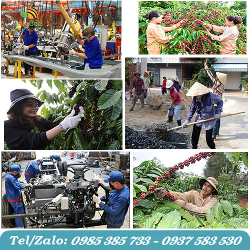 Bao tay len và ứng dụng trong công việc Bao tay len và ứng dụng trong công việc