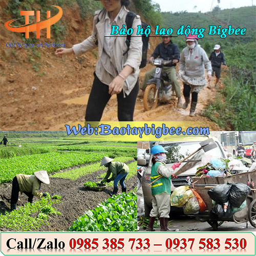 Ủng và ứng dụng trong đời sống Ủng và ứng dụng trong đời sống