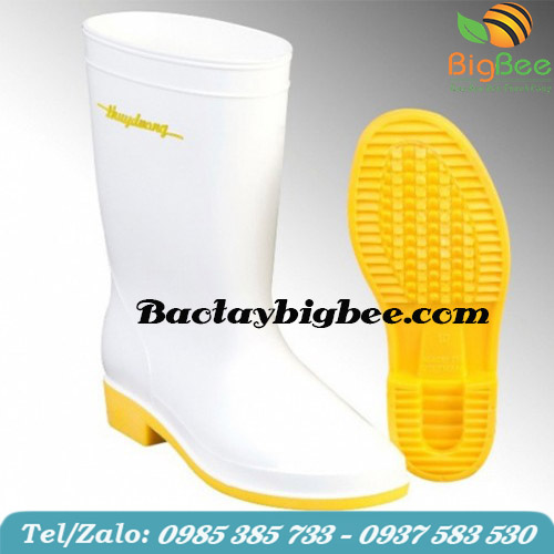 Ủng Thùy Dương màu trắng vàng. Ủng Thùy Dương màu trắng vàng.