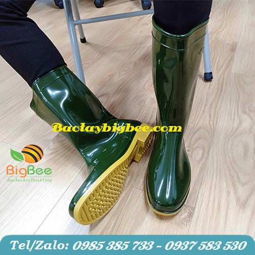 Ủng Thùy Dương có tính ứng dụng trong đời sống cao. Ủng Thùy Dương có tính ứng dụng trong đời sống cao.