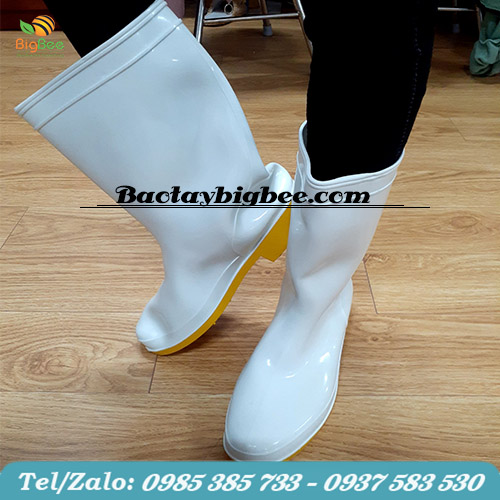 Ủng cao su giá rẻ Ủng cao su giá rẻ
