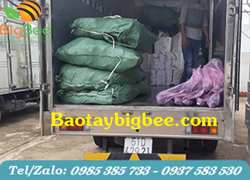 Hình ảnh đi giao ủng VITAS cho khách hàng tại BIGBEE Hình ảnh đi giao ủng VITAS cho khách hàng tại BIGBEE