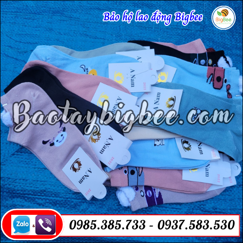 Tất nữ - vớ nữ nguồn sỉ lẻ giá gốc tại TPHCM. Tất nữ - vớ nữ nguồn sỉ lẻ giá gốc tại TPHCM.