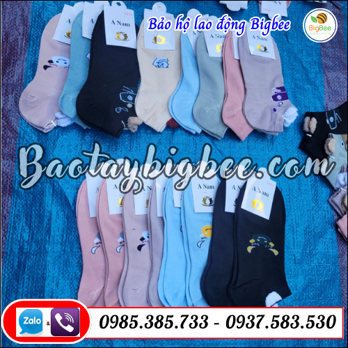 Tất chân nữ cotton cổ ngắn thời trang. Tất chân nữ cotton cổ ngắn thời trang.