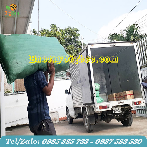 Nhân viên soạn hàng đi giao cho khách Nhân viên soạn hàng đi giao cho khách