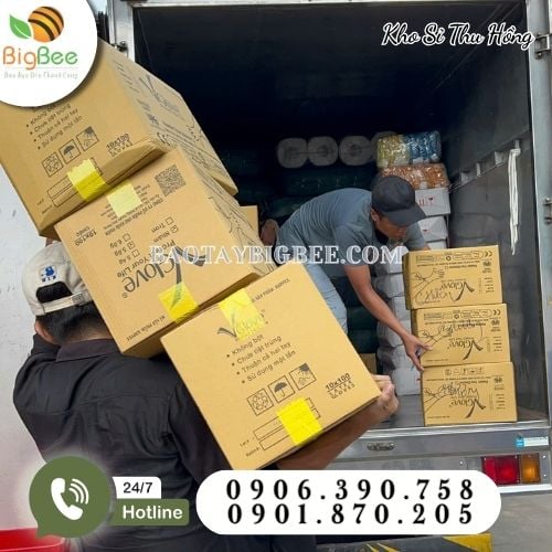 Hoạt động giao sỉ 30 thùng găng tay y tế Vglove tận nơi cho khách Hoạt động giao sỉ 30 thùng găng tay y tế Vglove tận nơi cho khách