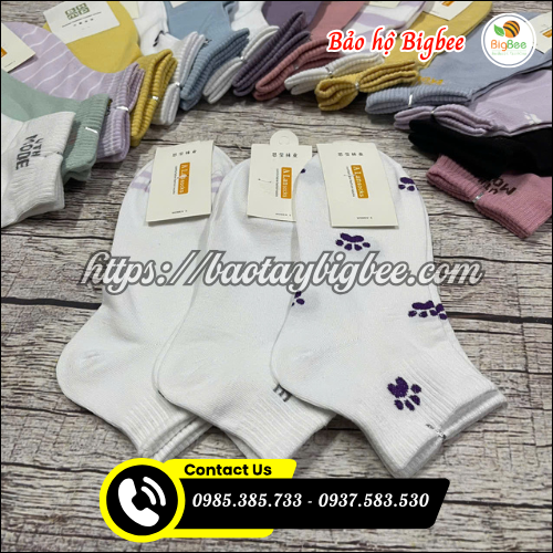 Vớ cotton cho học sinh, công sở. Vớ cotton cho học sinh, công sở.