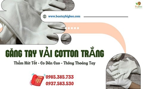 Chuyên sỉ găng tay cotton trắng mềm mịn, giá cực ưu đãi