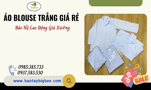 Mua áo blouse trắng giá rẻ tại TP.HCM – Nguồn sỉ uy tín