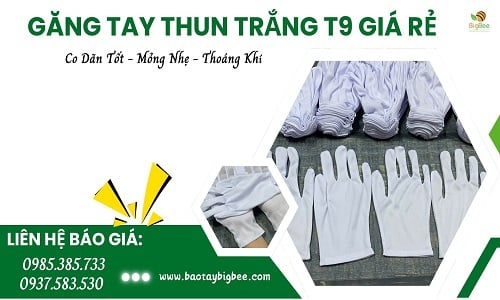 Bao tay thun trắng t9 nhẹ mỏng thoáng tay giá sỉ rẻ