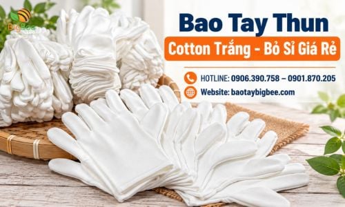 Bao Tay Thun Cotton Trắng - Bỏ Sỉ Giá Rẻ Chất Lượng