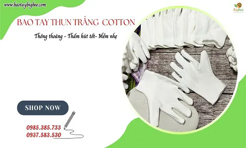 Bỏ sỉ bao tay thun cotton trắng giá sỉ rẻ