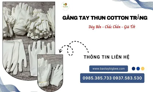 Chuyên sỉ găng tay thun cotton trắng giá rẻ tận kho