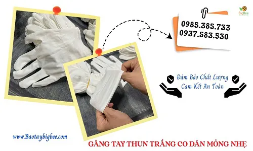 Găng tay thun trắng co giãn tốt – Nguồn sỉ giá rẻ tại TP.HCM