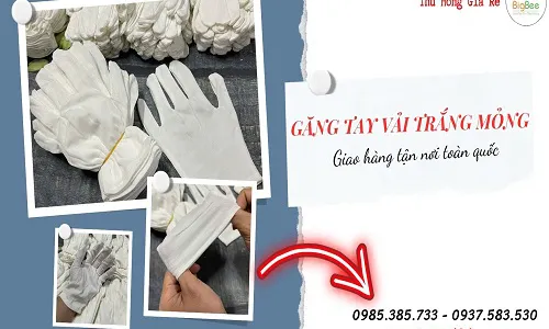 Nơi bỏ sỉ găng tay vải trắng mỏng cho đại lý giá cạnh tranh