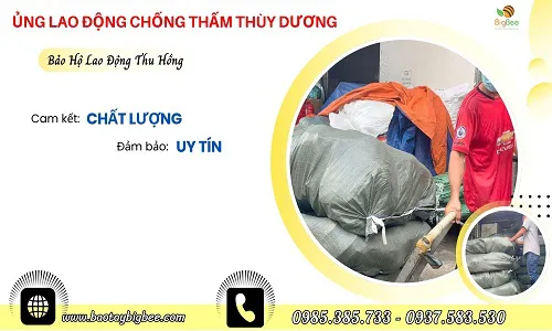 Nhận bỏ sỉ ủng lao động chống thấm thùy dương giá rẻ tại HCM