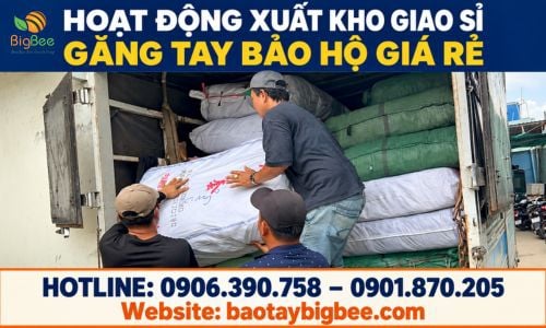 Hoạt Động Xuất Kho Giao Sỉ Găng Tay Bảo Hộ Giá Rẻ Tại Thu Hồng