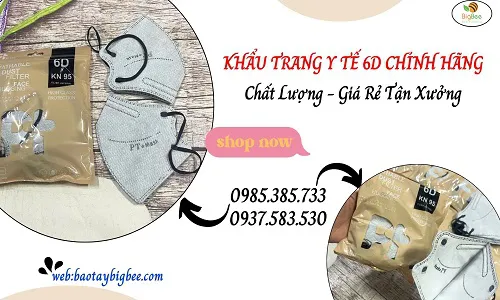 Nơi bán khẩu trang y tế 6d sỉ rẻ chất lượng cao tại TP.HCM