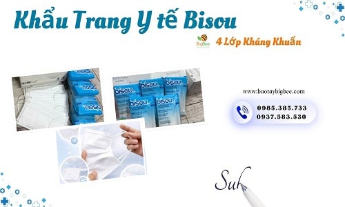 Nhập sỉ khẩu trang y tế Bisou kháng khuẩn ở đâu giá tốt nhất