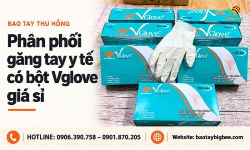 Phân phối găng tay y tế có bột Vglove giá sỉ sát xưởng