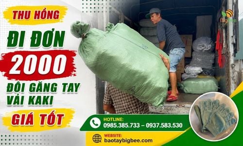 Thu Hồng Đi Đơn 2000 Đôi Găng Tay Vải Kaki Giá Tốt