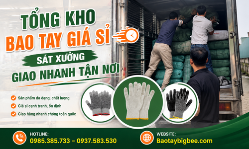 Tổng Kho Bao Tay Giá Sỉ Sát Xưởng Giao Nhanh Tận Nơi
