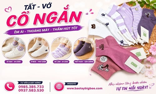 Nơi mua vớ cổ ngắn giá sỉ uy tín hàng đủ màu đủ size