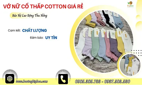 Bán sỉ vớ nữ cổ ngắn giá rẻ – Mềm mịn, co giãn tốt