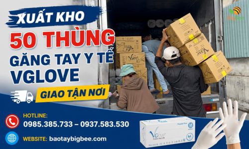 Xuất Kho 50 Thùng Găng Tay Y Tế Vglove Giao Tận Nơi Cho Khách Sỉ