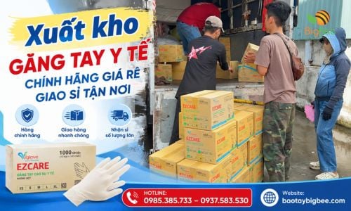 Xuất kho găng tay y tế chính hãng giá rẻ giao sỉ tận nơi