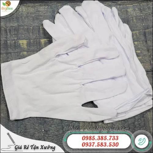 Sỉ găng tay vải thun L+2 hàng có sẵn tại HCM