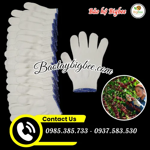 Bao tay len poly bảo hộ sỉ rẻ đủ cỡ giá tận xưởng