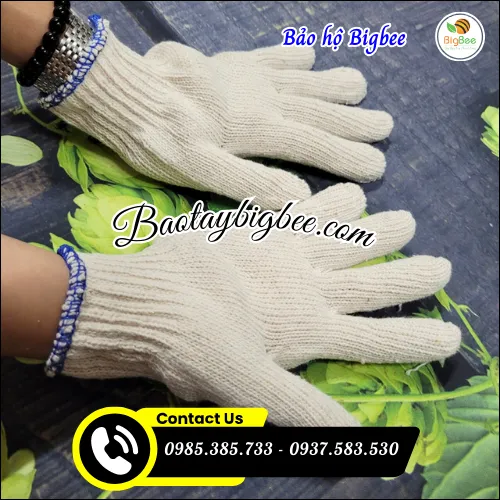 BAO TAY LEN KEM TRẮNG 60g/ 70g