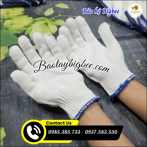 BAO TAY LEN POLY TRẮNG 60G