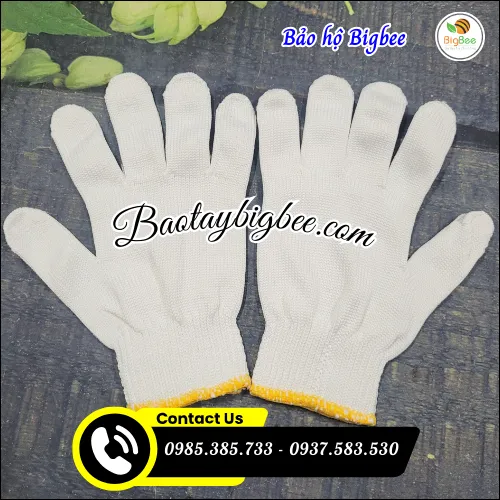 Bao tay len poly bảo hộ sỉ rẻ đủ cỡ giá tận xưởng