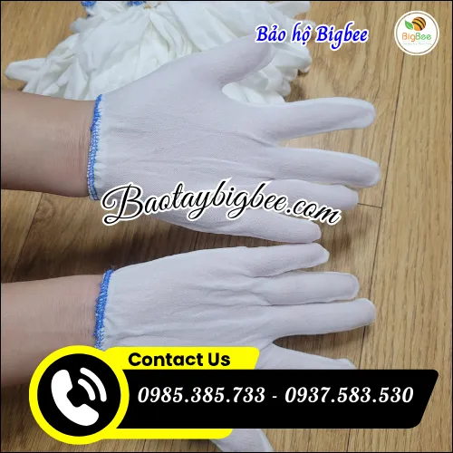 BAO TAY THUN BO T5  NỮ
