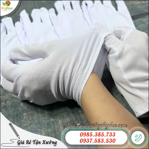 Mua sỉ bao tay thun vải mỏng T9 ở đâu uy tín, giá rẻ tại TP.HCM?