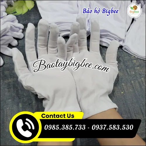 Mua sỉ bao tay thun vải mỏng T9 ở đâu uy tín, giá rẻ tại TP.HCM?