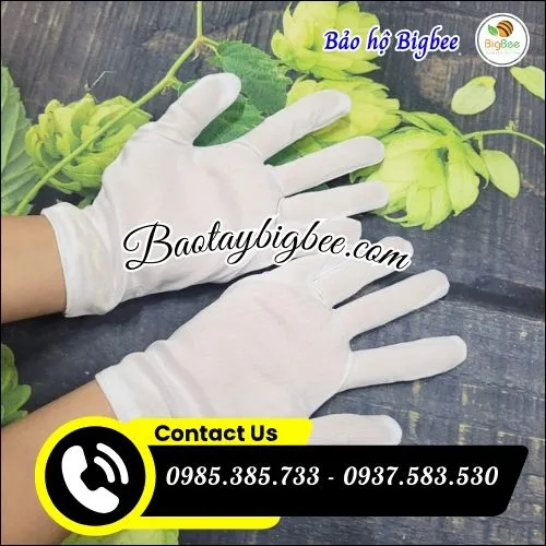 Lấy sỉ găng tay thun t8 giá rẻ tại HCM