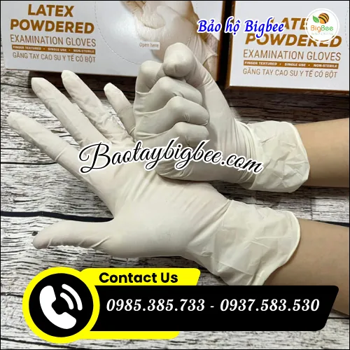 Phân phối sỉ găng tay latex có bột giá gốc