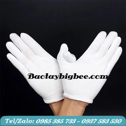 BAO TAY THUN TRẮNG COTTON
